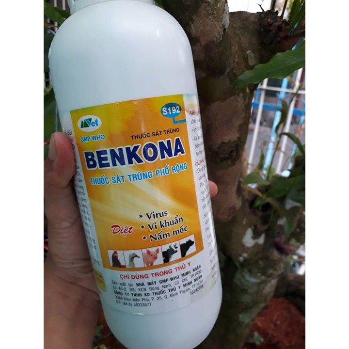 --- Benkona 1L/ chai -Thuốc đặc trị vi khuẩn, vi rút, nấm mốc trên phong lan chất, giá rẻ.