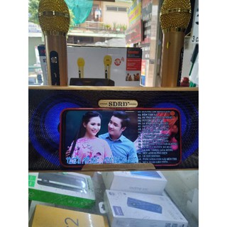 Loa nghe nhạc hát karaoke blutooth SD 301.