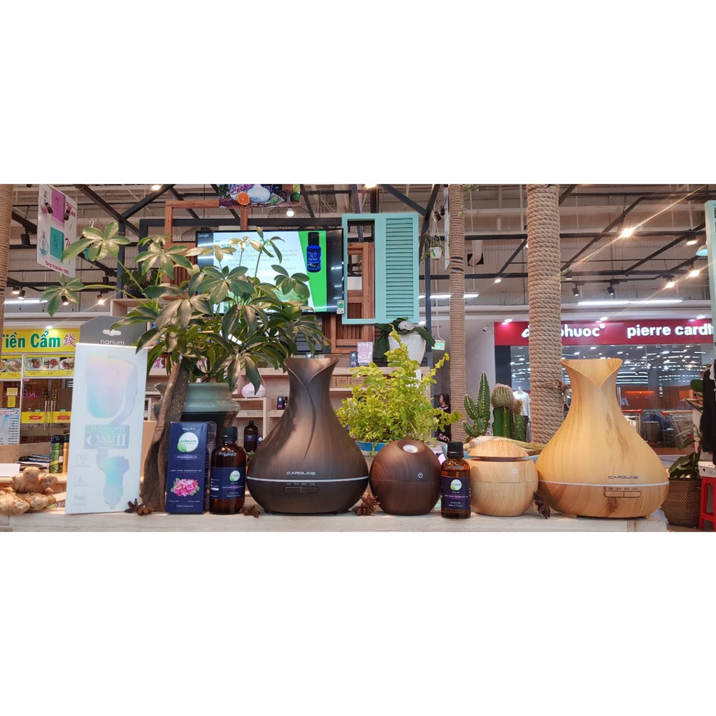 TINH DẦU CÚC LA MÃ CAROLINE 500ML | BigBuy360 - bigbuy360.vn