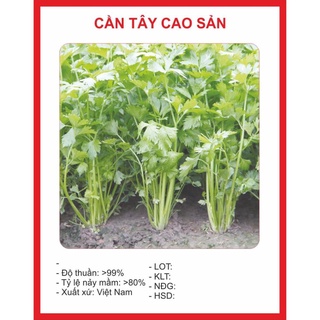 Hạt giống Cần Tây 2gram hạt giống bốn mùa