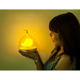[FREE SHIP => 50K ] Đèn trang trí hình lòng chim Birdcage