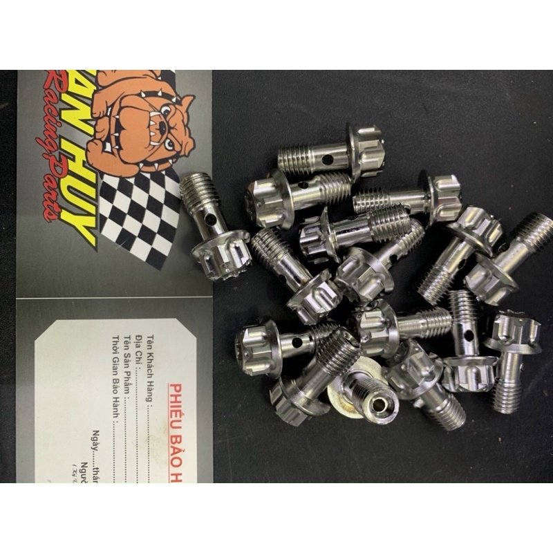 Óc heo dầu salaza inox 304