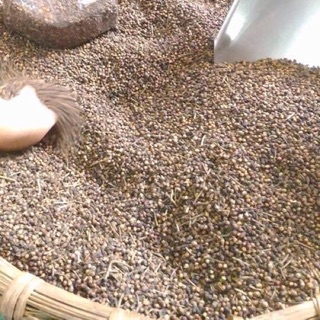500g nụ vối nam định