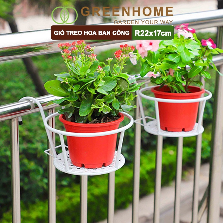 Giỏ treo hoa ban công, D22xC18cm, chất liệu sắt sơn tĩnh điện, phù hợp với mọi lan can, nhiều màu để lựa chọn |Greenhome