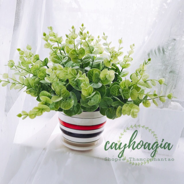 Cây giả - lá bạc hà 20 cm (video)