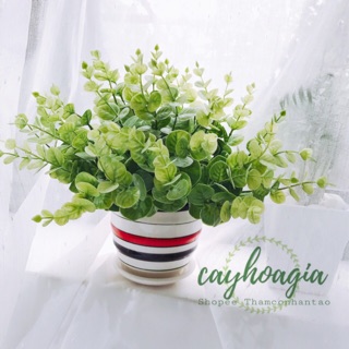 Cây giả - lá bạc hà 20 cm (video)