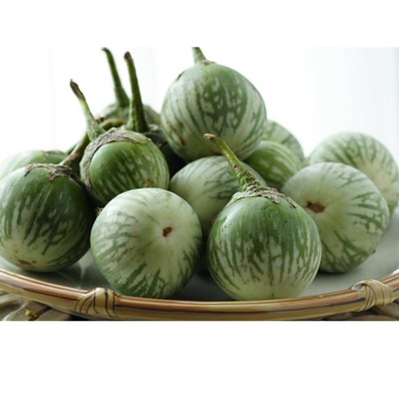 Hạt Giống Cà Dĩa Sọc Xanh  -  - Giòn, Ngọt, Năng Suất Cao