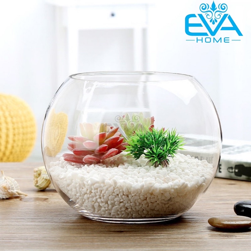 Chậu Thuỷ Tinh Dùng Làm Hồ Cá Bể Cá Để Bàn Dáng Tròn Bầu T02  Round Glass Aquarium Size 24 x 16 Cm
