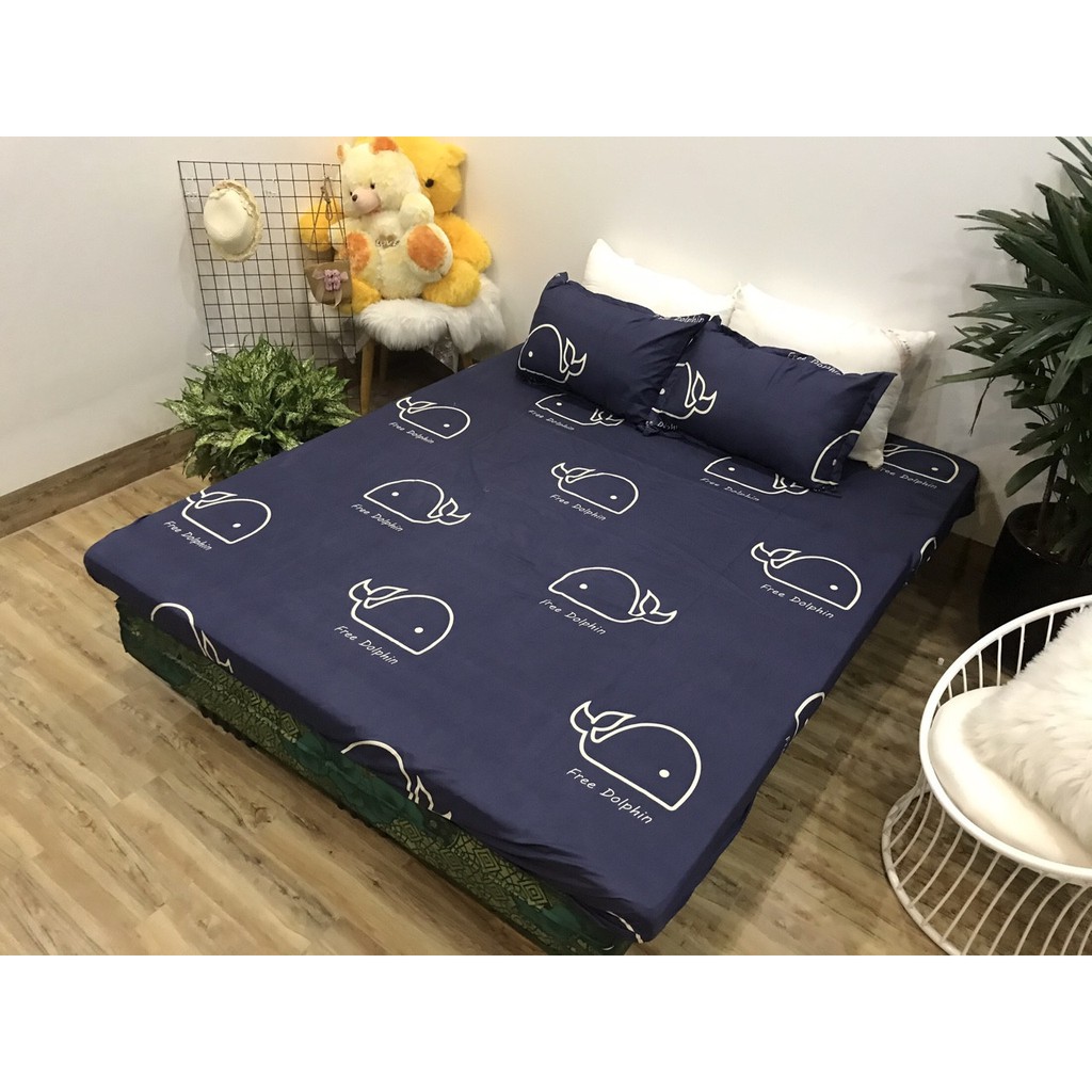 Combo giá sỉ 18b ga poly cotton ngộ nghĩnh