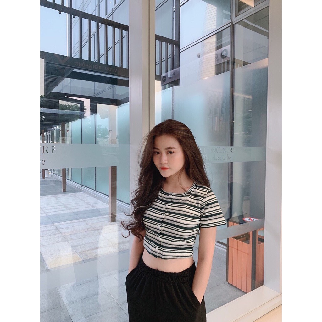 Áo Thun Gân Tay Ngắn Phối Sọc Màu Kèm nút Gài Phong Cách Mới TTS0381