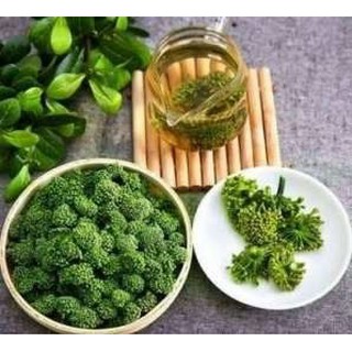 100g Nụ tam thất bào tử khô