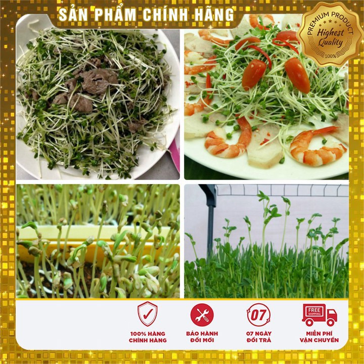 Hat giống rau mầm THẢO DƯỢC METHI chống lão hóa 20 gram