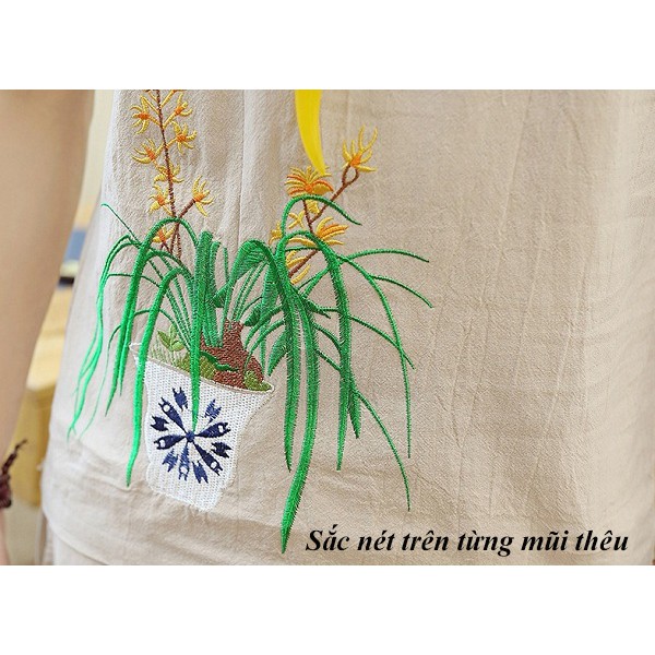 TCH Bộ Đũi Nam
