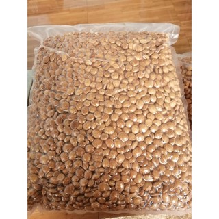 Hạt Sachi rang giòn hộp 500gr