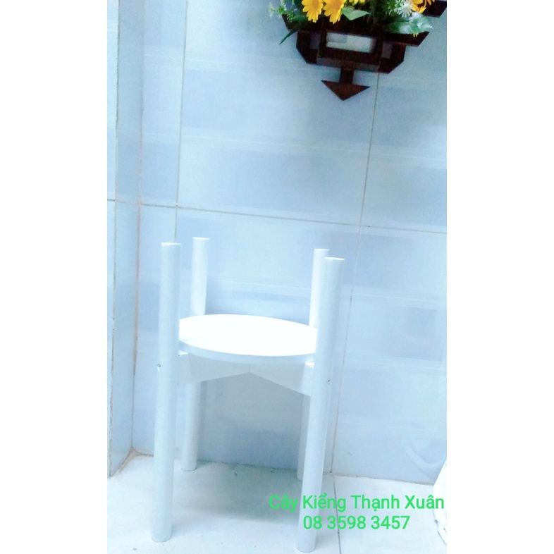 Kệ Giá Gỗ Để Chậu Hoa/Đôn Gỗ Để Chậu Hoa Cây Cảnh Để Bàn Trang Trí Kích Thước Cao 40cm x Rộng 31cm, lọt lòng chậu 26cm