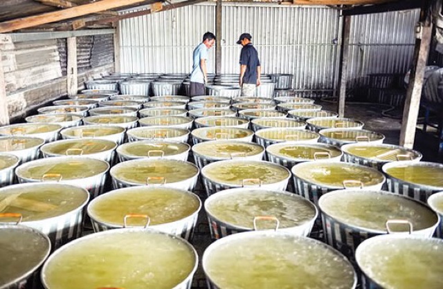 [LOẠI ĐẶC BIỆT]1KG ĐƯỜNG PHÈN CỤC VÀNG (ĐẬM) KẾT TINH TỪ MẬT MÍA QUẢNG NGÃI | BigBuy360 - bigbuy360.vn
