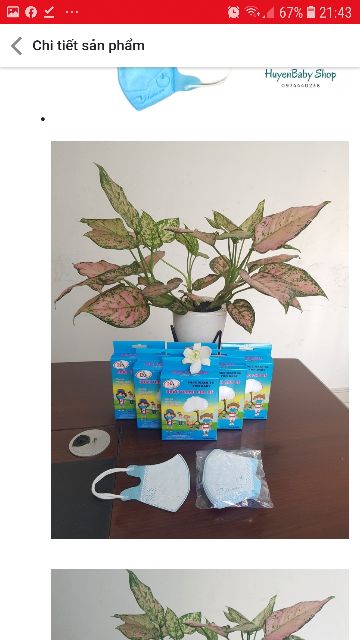 KHẨU TRANG Y TẾ 5D CHO BÉ FARMAPRO NAM ANH | BigBuy360 - bigbuy360.vn