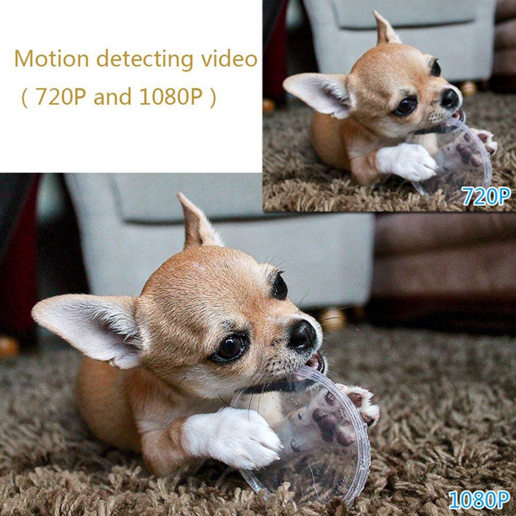 Camera Ngụy Trang Siêu Nhỏ Sq8 | BigBuy360 - bigbuy360.vn