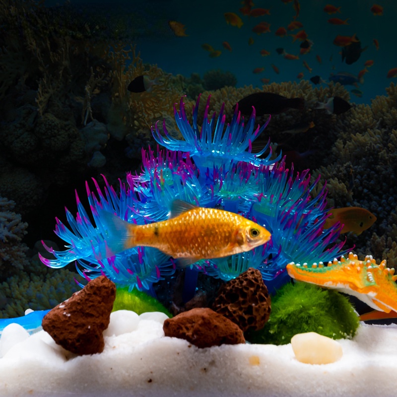 San Hô Silicone Màu Huỳnh Quang Trong Suốt Trang Trí Bể Cá