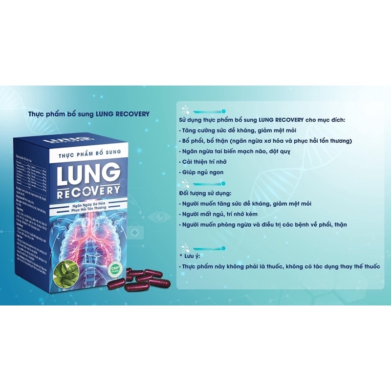 Bổ Phổi Lung Recovery