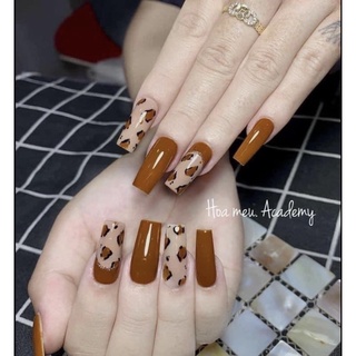 Nailbox thiết kế theo yêu cầu