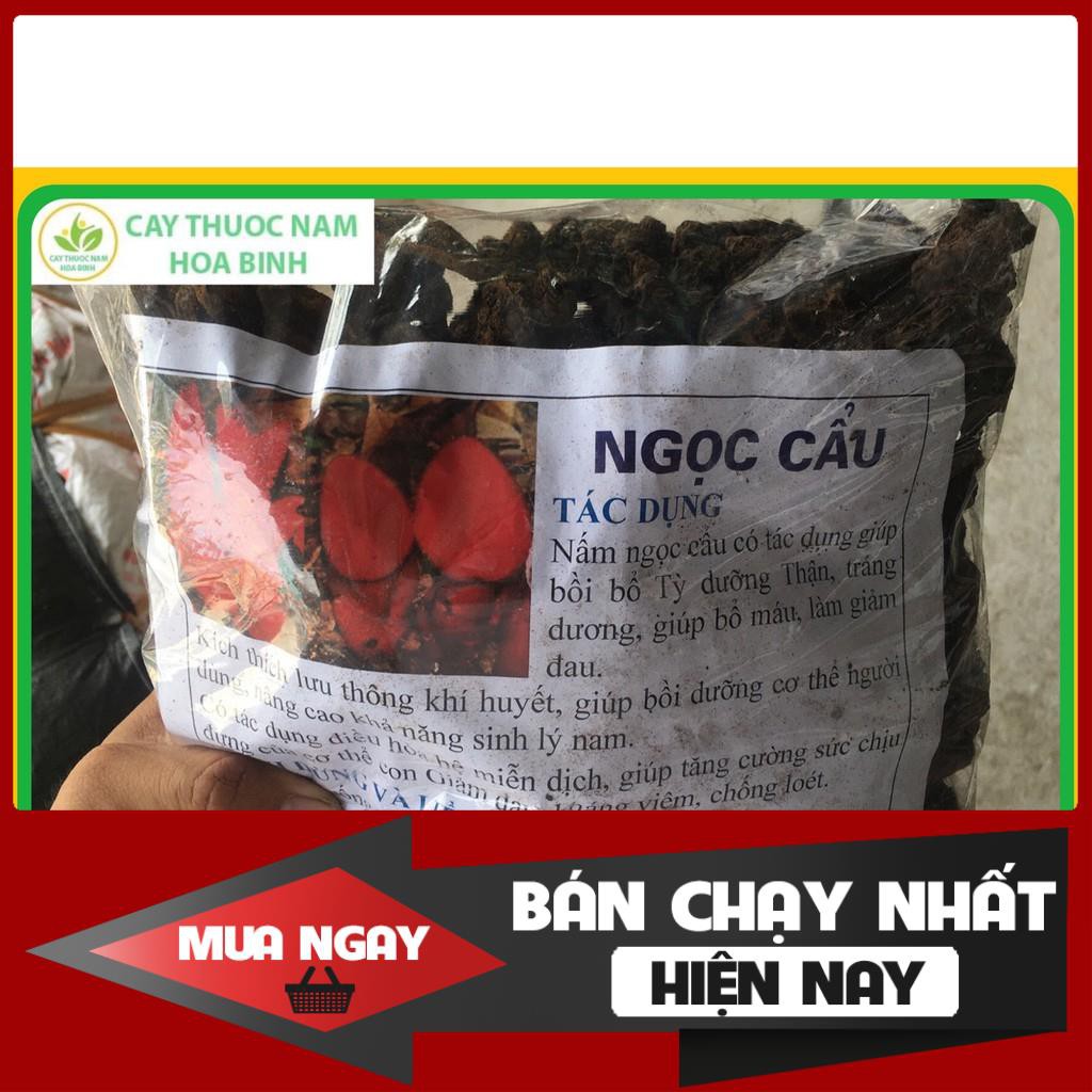 1kg Nấm ngọc cẩu rừng Hòa Bình nguyên búp (Ngọc tỏa dương) cam kết khô, nguyên chất