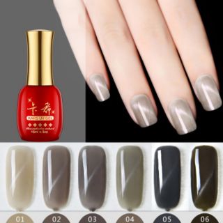 Set sơn 6 màu sơn mắt mèo tone xám 15ml tặng 3 loại nam châm