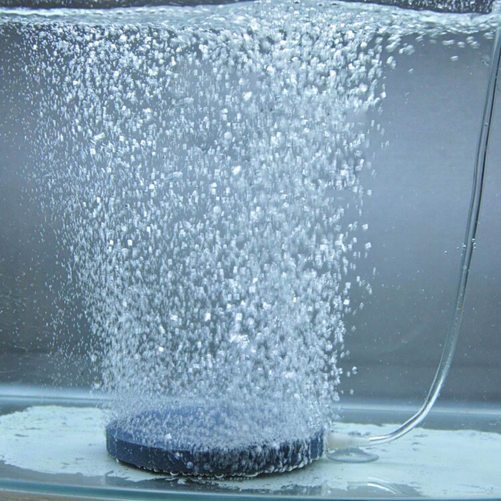 Đá Sủi Oxy Độc Đáo Tiện Dụng Cho Bể Cá 4cm
