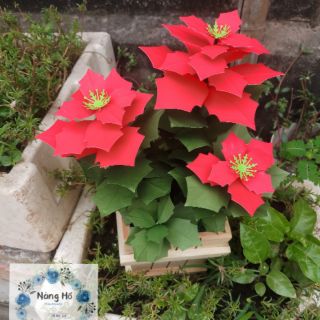 Hoa trạng nguyên giấy mỹ thuật