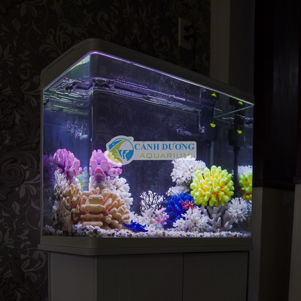 Hồ Cá Mini Để Bàn XS-620