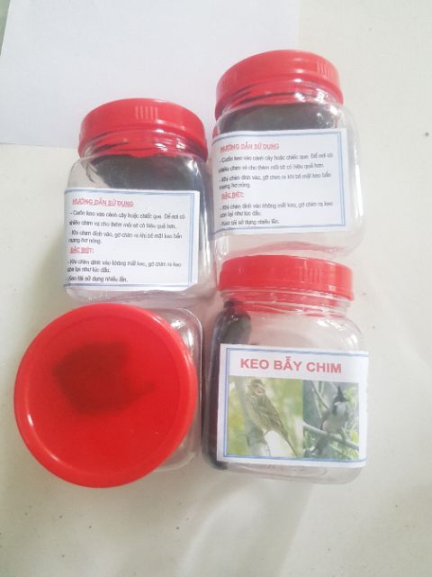 Keo bẫy chim sẻ, khuyên , chào mào, ri