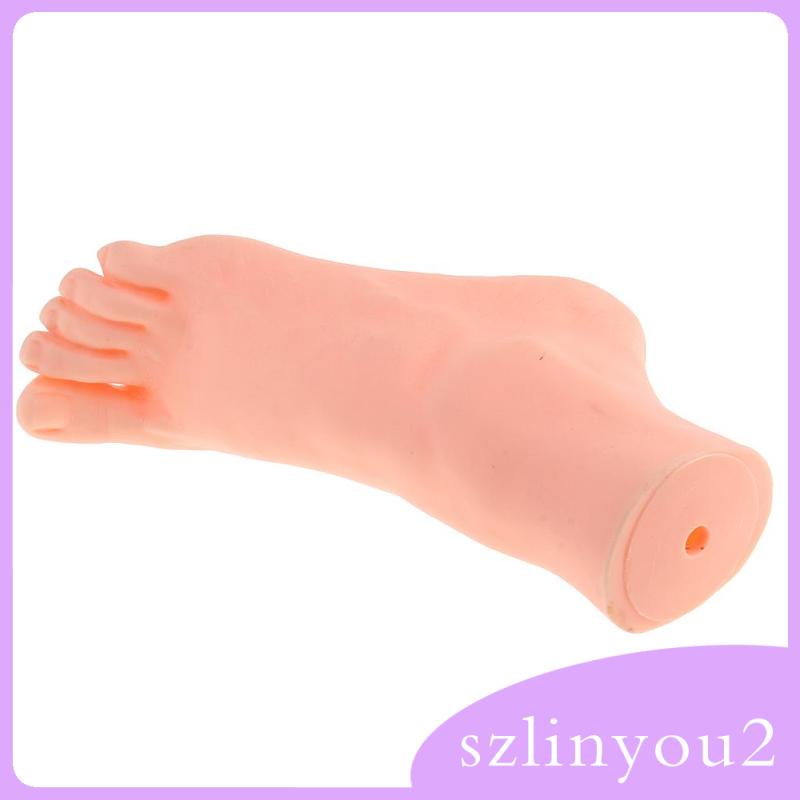 Chân Ma Nơ Canh Cao Su Trưng Bày Mô Hình Bàn Chân Phải Sống Động