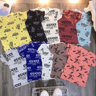 combo 50 áo cotton 850.000đ