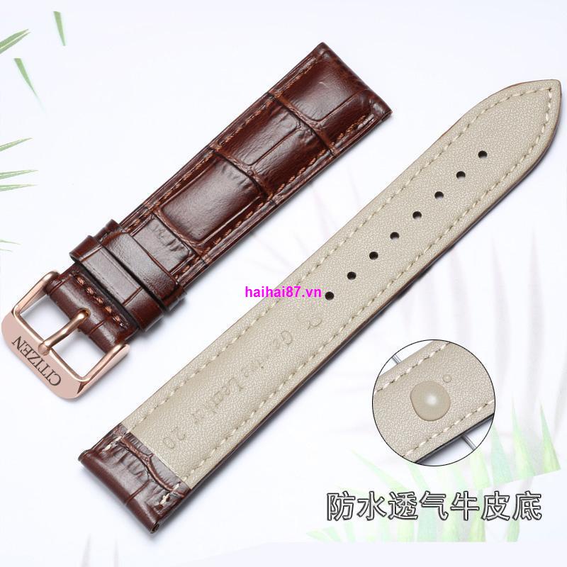 Dây Đeo Đồng Hồ CITIZEN CITIZEN Energy Kinetic Bằng Da Bò Có Khóa Cài Thông Dụng Cho Nam Và Nữ