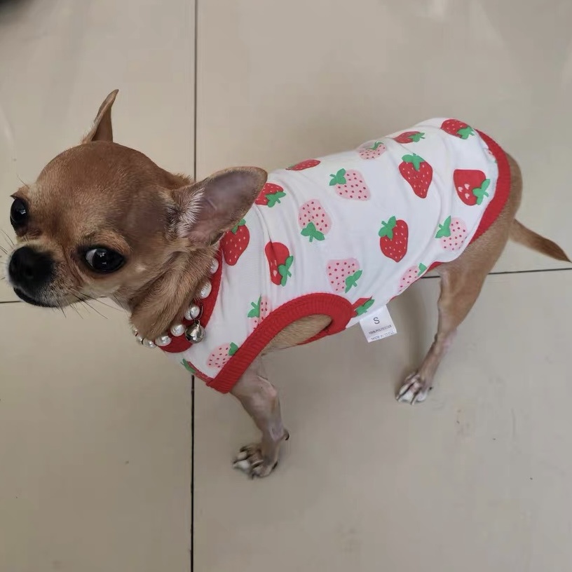 Áo Thun Ba Lỗ Cho Cún Mèo Dễ Thương Quần Áo Thú Cưng Mùa Hè Mát Mẻ Hihapet.