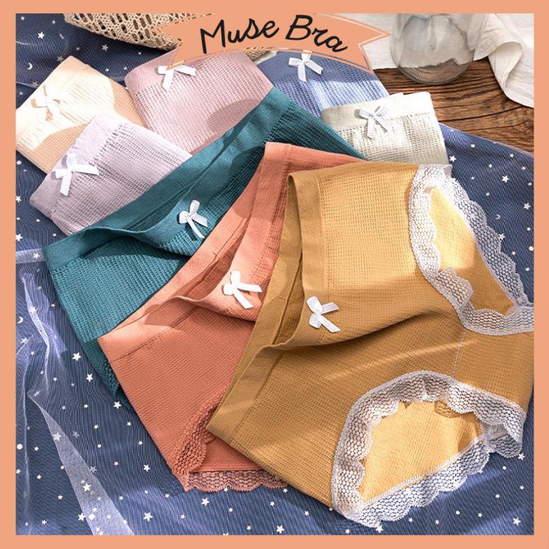 [Giá sỉ] Quần Lót Nữ Cotton Co Giãn 4 Chiều Tông Màu Pastel Siêu Đẹp