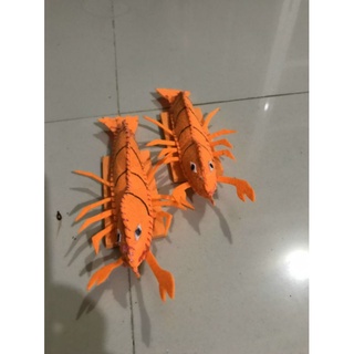 con tôm đậu mầm non