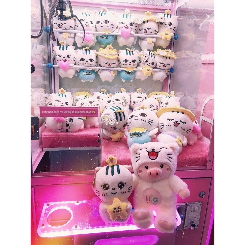 Gấu bông máy gắp gấu