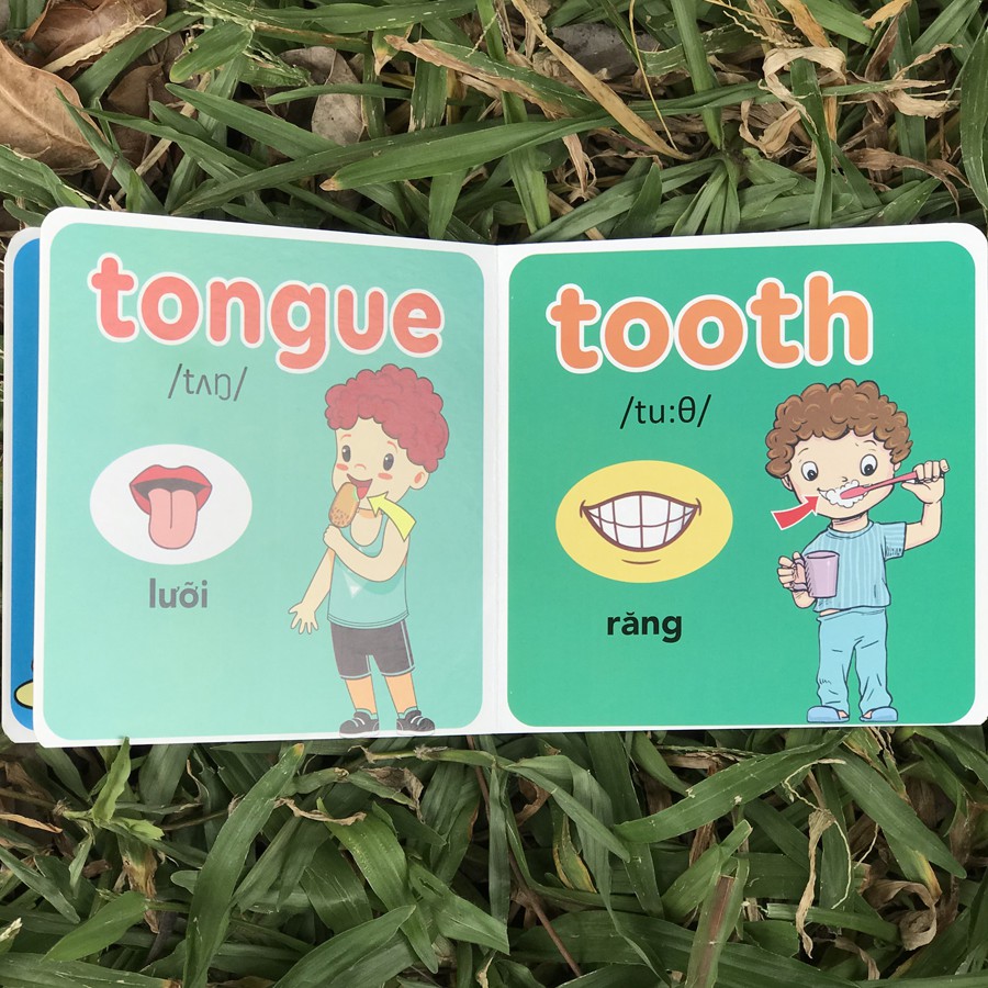 Sách - Thư Viện Hình Ảnh Đầu Tiên Cho Bé Từ 0-6 tuổi - Song Ngữ Việt Anh (DM)