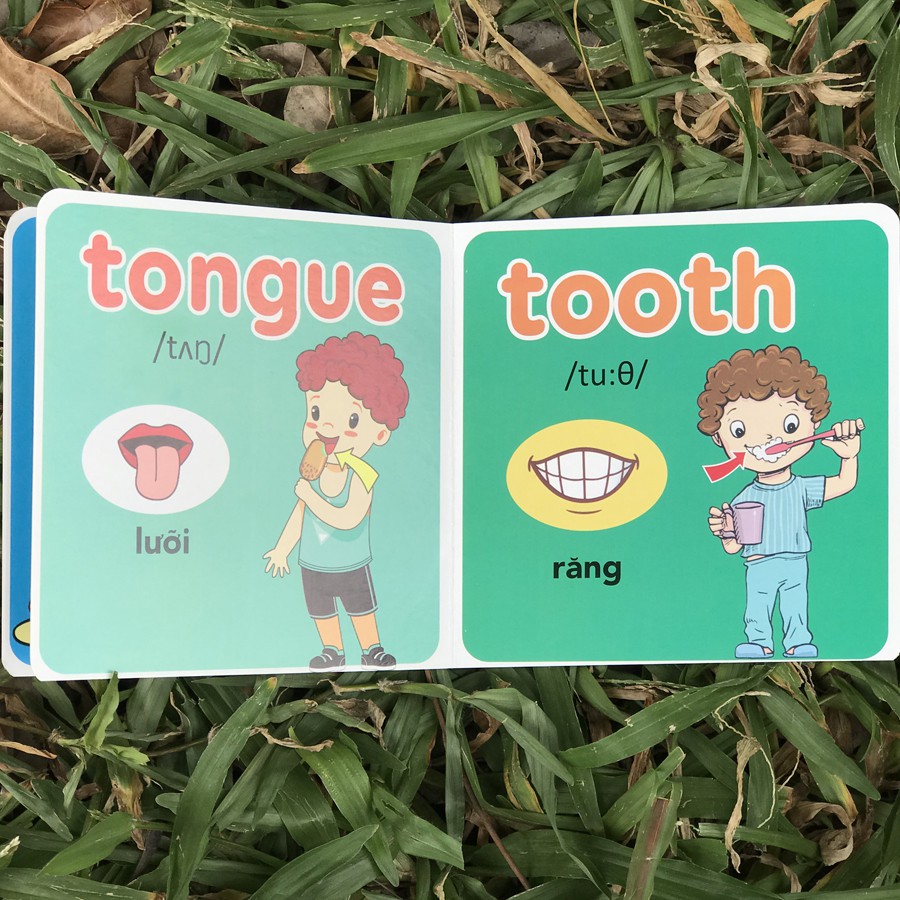 Sách - Thư Viện Hình Ảnh Đầu Tiên Cho Bé Từ 0-6 tuổi - Song Ngữ Việt Anh | BigBuy360 - bigbuy360.vn