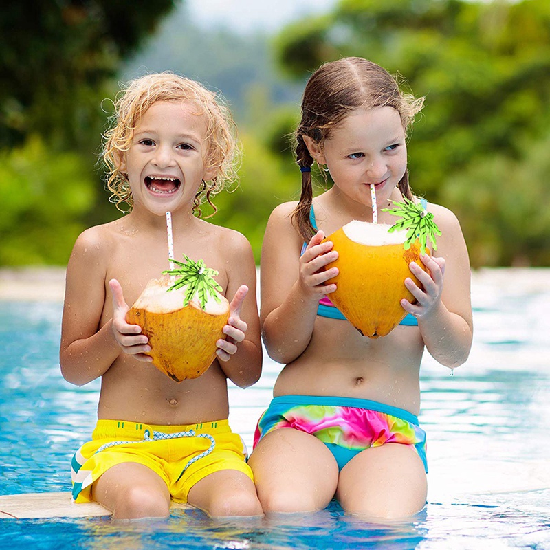 Set 60 cây dừa trang trí đồ uống