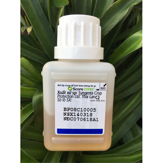 [SIEURE] trừ bệnh Score 250EC hàng đẹp, phân phối chuyên nghiệp.