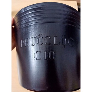 Chậu nhựa trồng cây C10