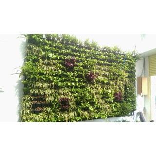 Ống tưới nhỏ giọt (1m)