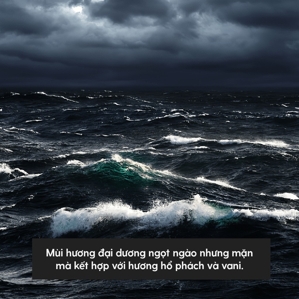 Tinh Dầu Phối Hương Black Ocean (Biển Lạnh) Làm Nến Thơm, Xông Thơm Phòng HENY GARDEN