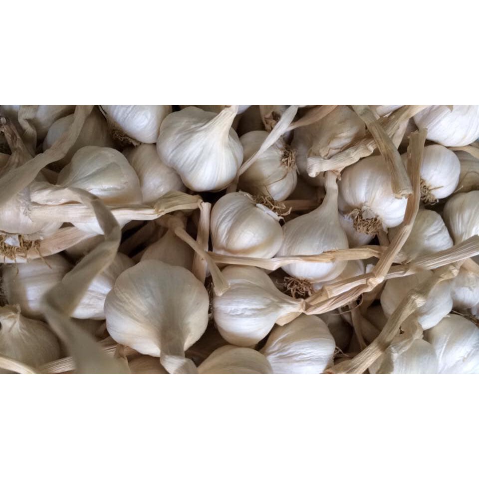 Tỏi Lý Sơn Quảng Ngãi Chính Gốc Loại 1 | BigBuy360 - bigbuy360.vn