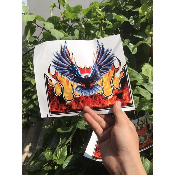 Tem decal đại bàng dán mặt nạ mỏ trước sau các dòng xe