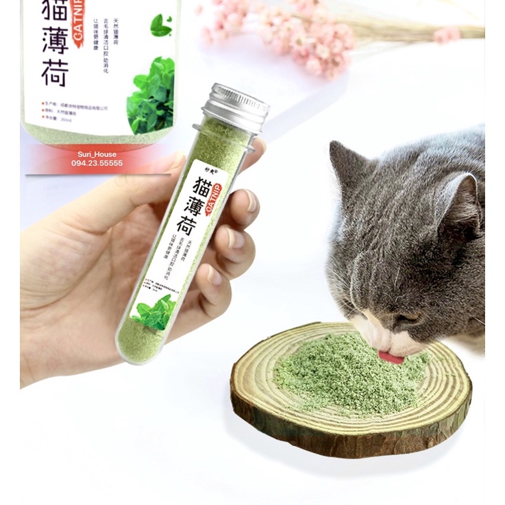 Cỏ catnip - Cỏ bạc hà cho mèo (40gr)