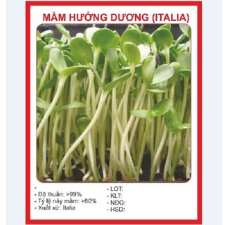 Hạt Mầm hướng dương ( 50gr/Gói )
