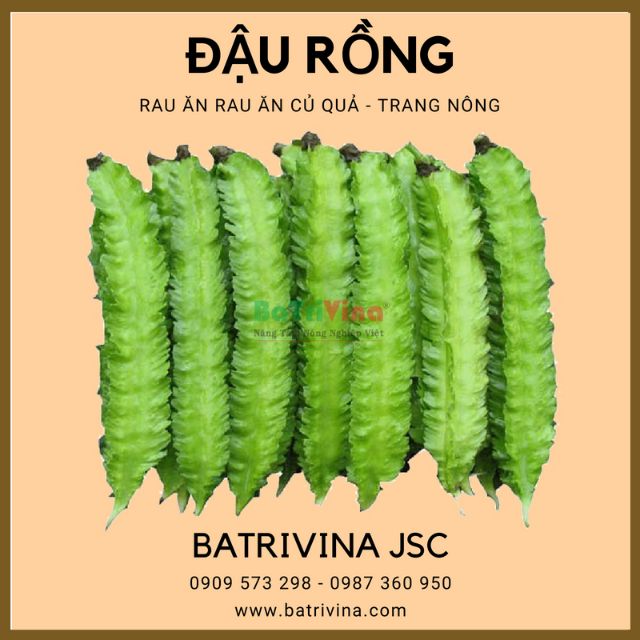 Gói 20gr hạt giống đậu rồng trang nông